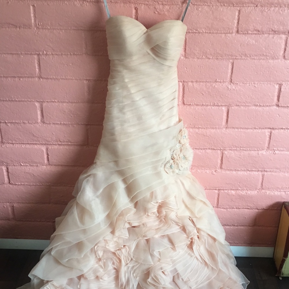 Blush wedding gown